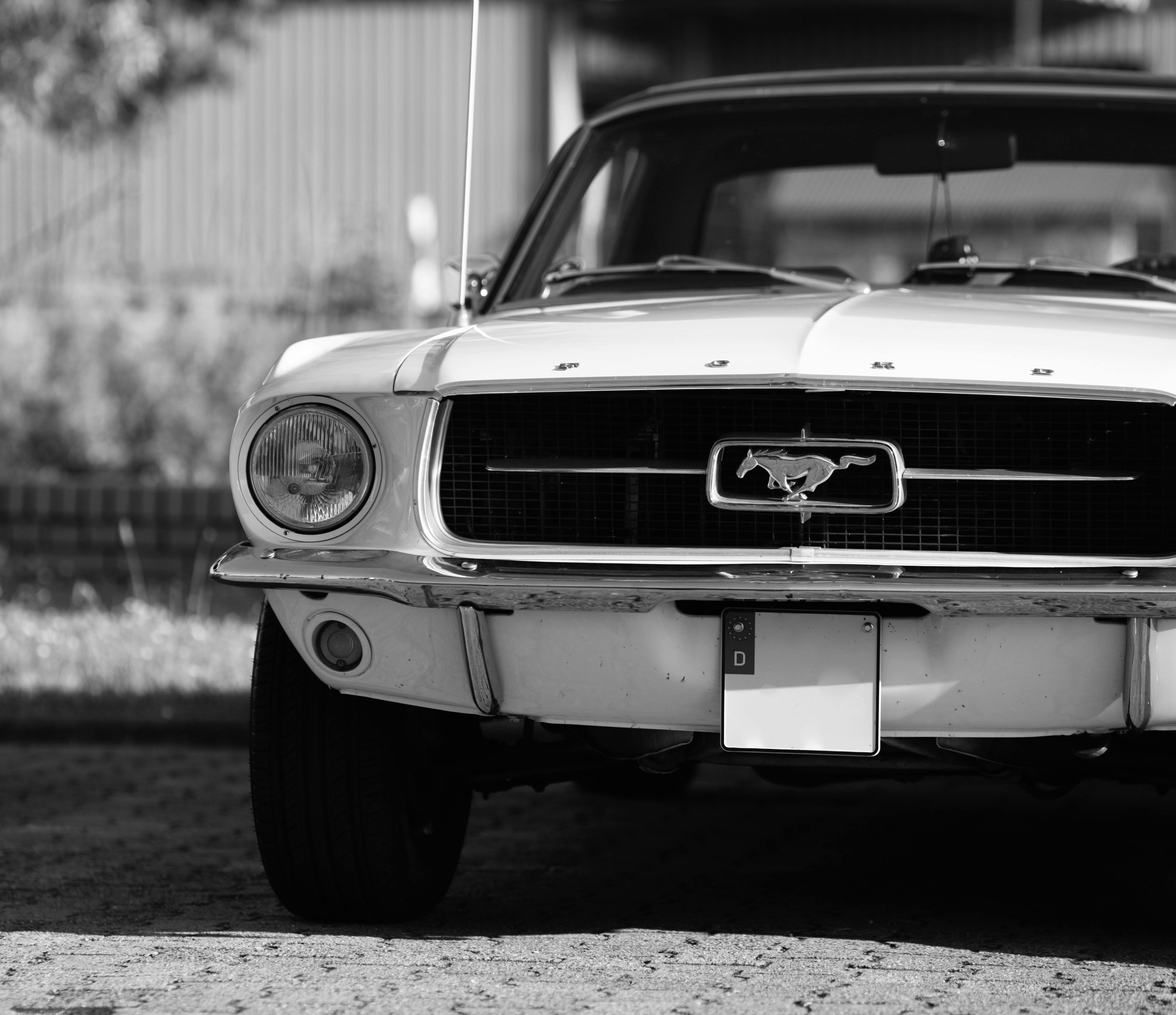 Classic Mustang